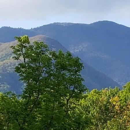Mountain Serenity Gatlinburg Ngoại thất bức ảnh