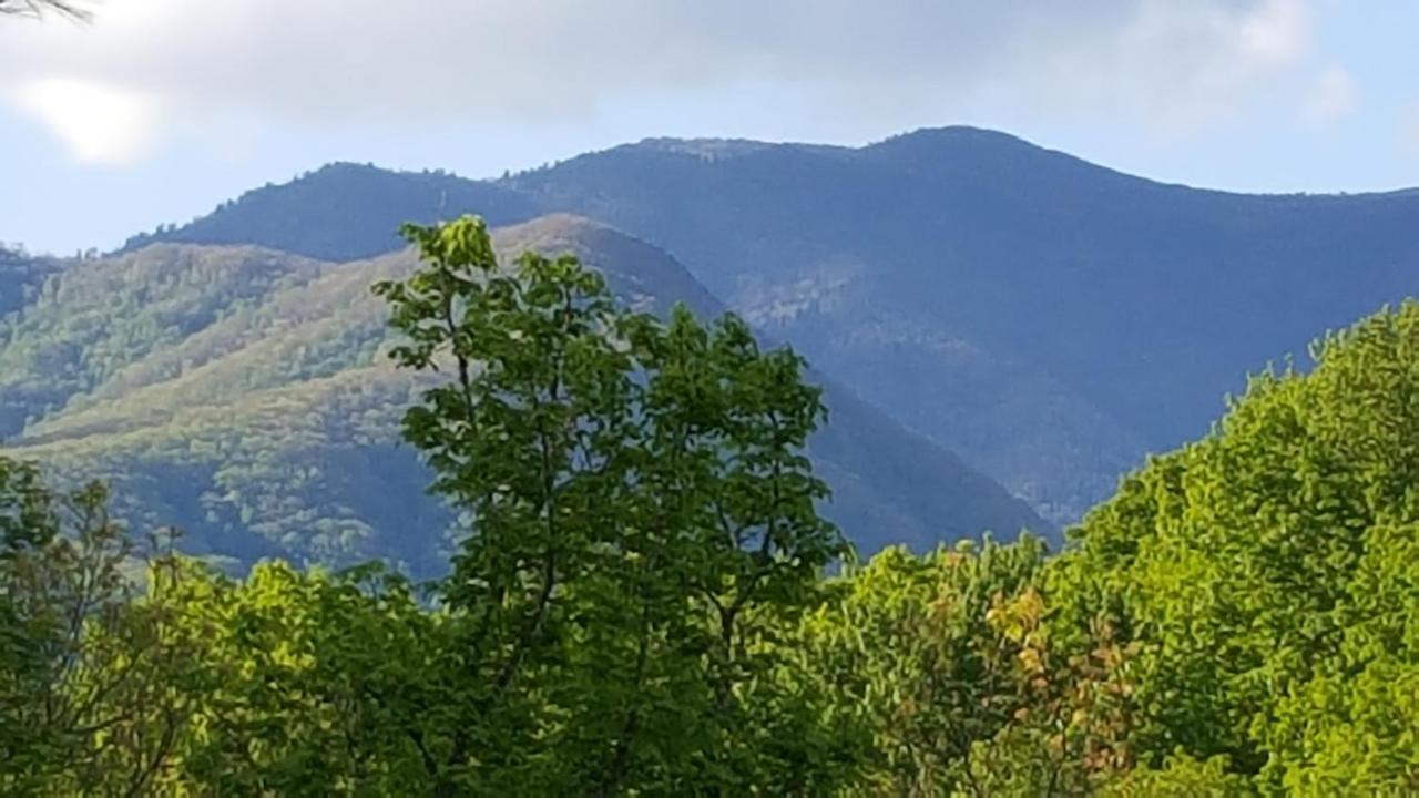 Mountain Serenity Gatlinburg Ngoại thất bức ảnh